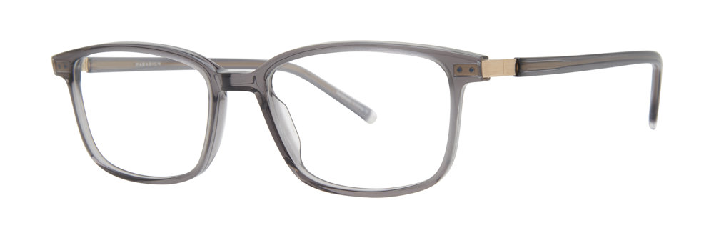 Paradigm 21-08 Eyeglasses Slate 52mm