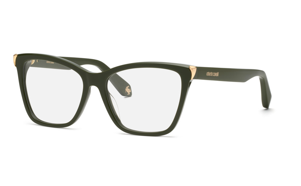 ROBERTO CAVALLI OPTICAL VRC101M Eyeglasses SHINY-GREEN-0C36 55mm
