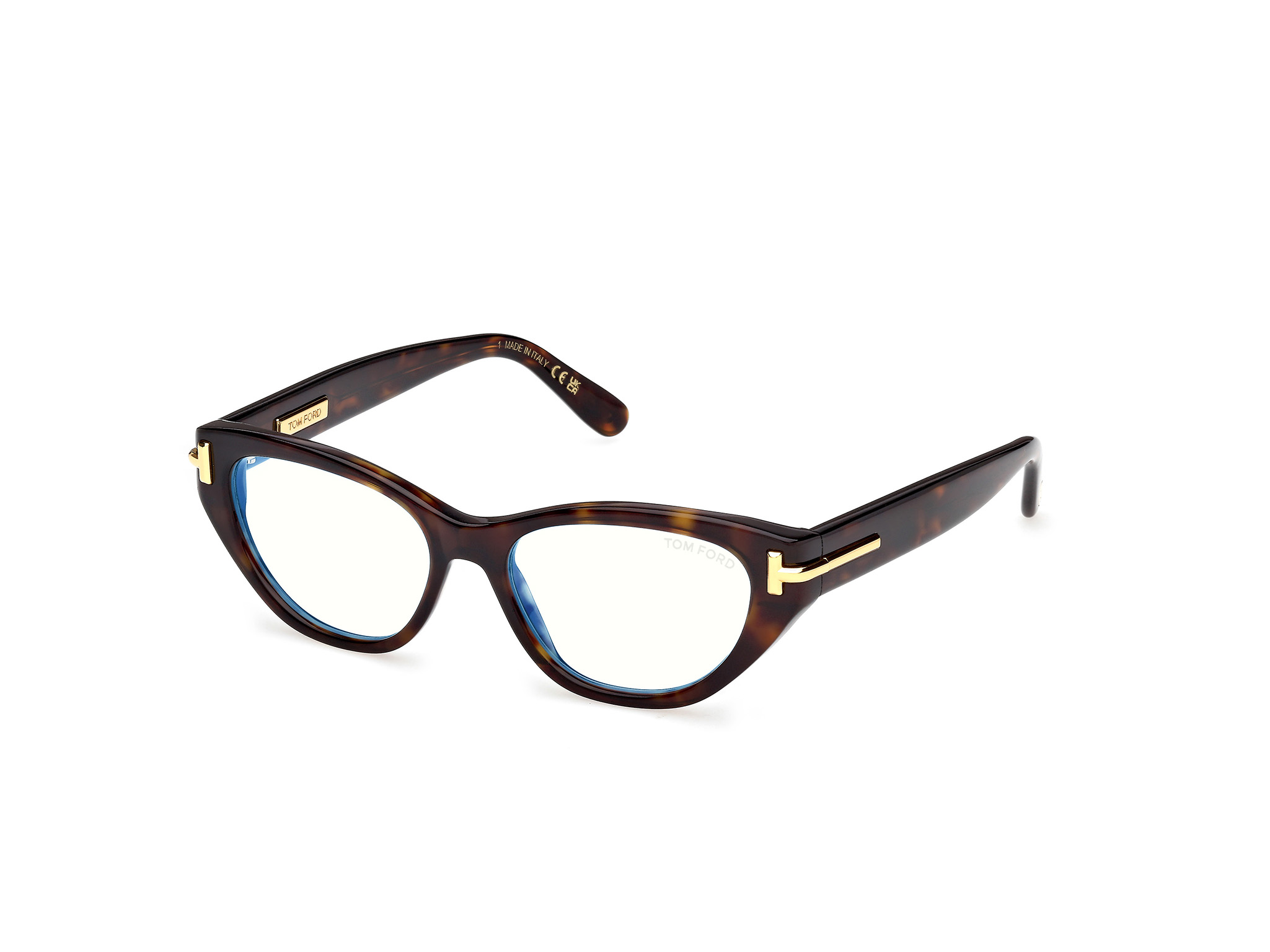TOM FORD ICON FT6079-B Eyeglasses 001 – SHINY BLACK 52mm